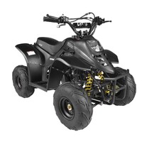 GMX 110cc Ripper-X Junior Kids Quad Bike