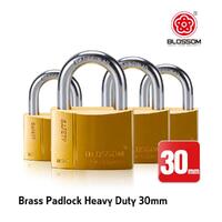 Padlock Brass Heavy Duty 30Mm Key Alike