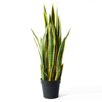 Artificial Indoor Yellow Edge Tiger Piran Artificial Decoration Tree Flower Pot Plant