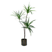 Green Artificial Indoor Brazlian Iron Tree Artificial Plant Decorative 3 Heads