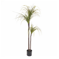 Green Artificial Indoor Dragon Blood Tree Artificial Plant Decorative