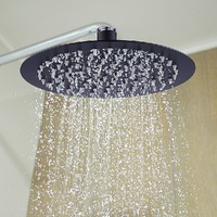200mm Shower Head Round 304SS Electroplated