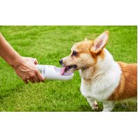Pet Bottle 400ml