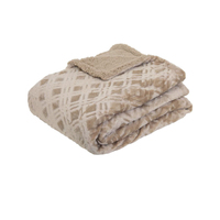J.Elliot Home Vida Microplush Throw