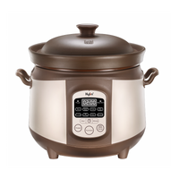 Electric Purple Clay Pot Slow Cooker