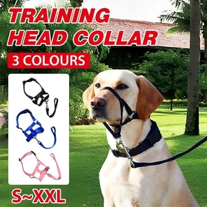 Black Dog Training Head Collar Halter Stop Pulling Training Tool Harness Strap Leader