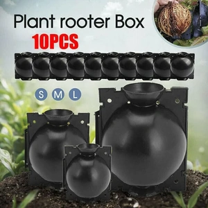 10Pcs Plant Rooting Ball High Pressure Propagation Box Grafting Breeding Device