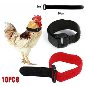 10pcs Rooster Anti Crow Collar Adjustable Nylon Neck Belt Poultry Sound Control