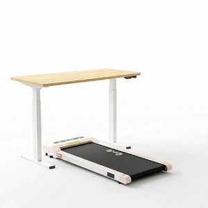 Electric Treadmill with 140cm Automatic Standing Desk Walking Pad 360mm