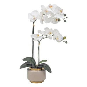 Real Touch Artificial Orchid Pot