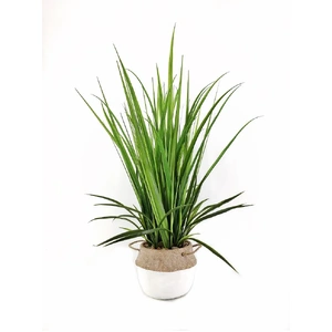 Artificial Grass in Cement Pot