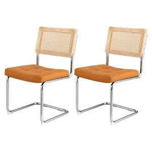 Dining Chairs PU Leather Rattan Cantilever