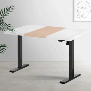 Motorised Standing Desk Sit Stand Desks