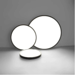 LED Ceiling Light Fixture, Light, 4500K,Black