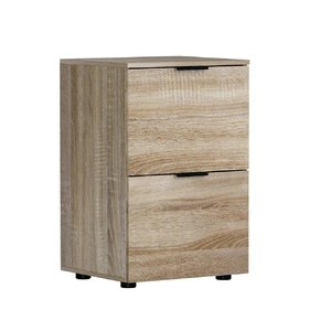 Filing Cabinet Files Storage Office Shelves File Organiser 2 Drawer