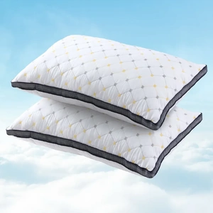 Pillows Microfibre