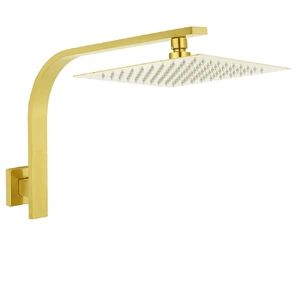 Wels Brushed Square Sus Shower Head Gooseneck Wall Arm Set