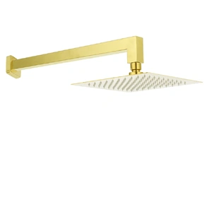 Wels Brushed Square Thin Rain Shower Head Straight Wall Arm Set