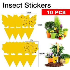 10X Dual Sided Sticky Trap Insect Killer Whitefly Thrip Fruit Fly Gnat