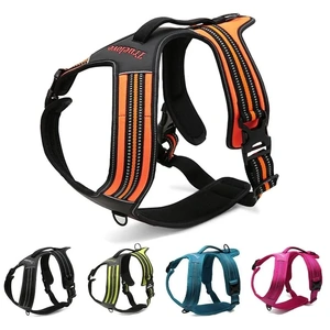 True Love Heavy Duty Sports Dog Harness