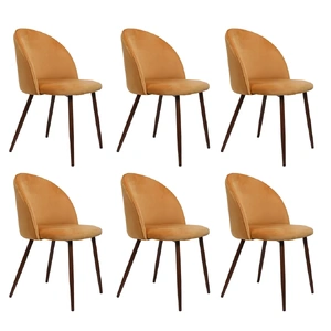 Dining Chairs Seat French