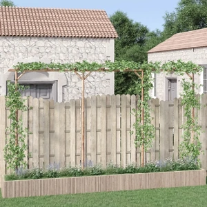 Pergola Bamboo