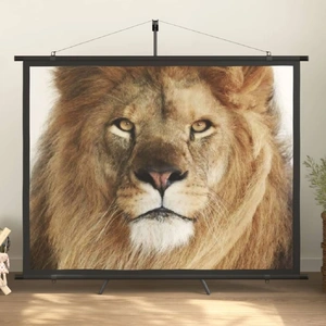 Projection Screen 4 3
