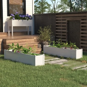 Garden Raised Bed 150x31x31 cm Solid Pinewood
