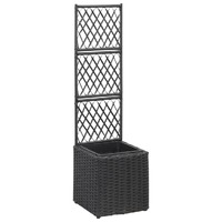 Trellis Raised Bed with Pot Poly Rattan