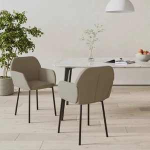 Dining Chairs 2 pcs
