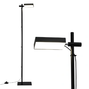 LED Floor Lamp, Modern Reading Lamp 360~ Rotating Adjustable Light Head,12W Standing Lamp for Living Room, Bedroom Office
