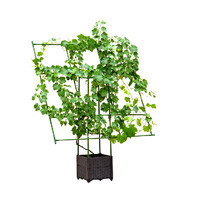 160cm Rectangular Inclined Plant Frame Tube Pergola Trellis Vegetable Flower Herbs Outdoor Vine Support Garden Rack