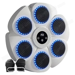 Bluetooth Boxing Machine Wall Mount White, Gloves Included