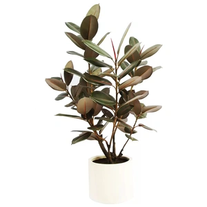 Artificial Rubber Tree 1.2 m