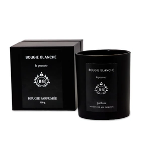 BOUGIE BLANCHE LE POUVOIR CANDLE