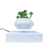 Magnetic Levitating Plant Pot White