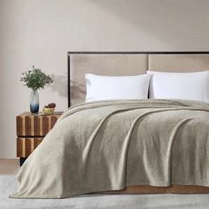 Ardor Teddy Natural Ultra Soft Cozy Fleece Blanket Queen