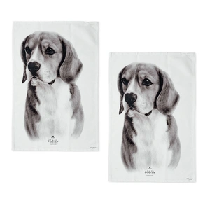 Beagle