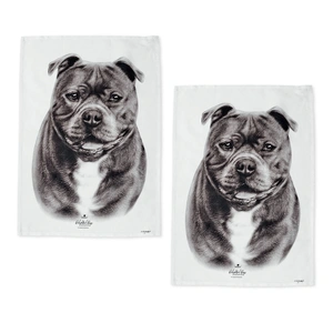 Staffy Terrier