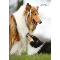 Dogs & Puppies - 2024 A5 Padded Cover Diary Premium Planner Book New Year Gift