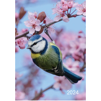 Birds - 2024 A5 Padded Cover Diary Premium Planner Book Christmas New Year Gift