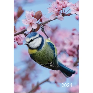 Birds - 2024 A5 Padded Cover Diary Premium Planner Book Christmas New Year Gift