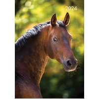 Horses - 2024 A5 Padded Cover Diary Premium Planner Book Christmas New Year Gift