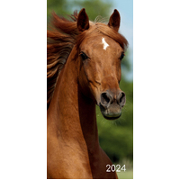 Horses - 2024 Flexi Pocket Diary Premium Planner Christmas Xmas New Year Gift