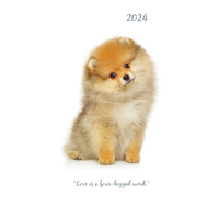 Adorable Dogs - 2024 Flexi Pocket Diary Premium Planner Christmas New Year Gift