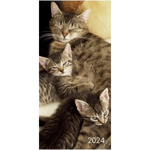 Cats & Kittens - 2024 Flexi Pocket Diary Premium Planner Christmas New Year Gift