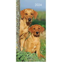 Dogs & Puppies - 2024 Flexi Pocket Diary Premium Planner Christmas New Year Gift
