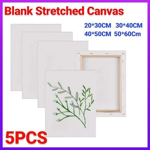 5x Artist Blank Stretched Canvas Canvases Art Large White Range Oil Acrylic Wood - 50*60CM