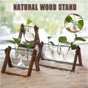 Wood Stand Glass Vase Terrarium Hydroponic Hanging Planter Home Decor - M With 2 Bottles