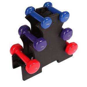 6-Piece Dumbbell Set with Rack